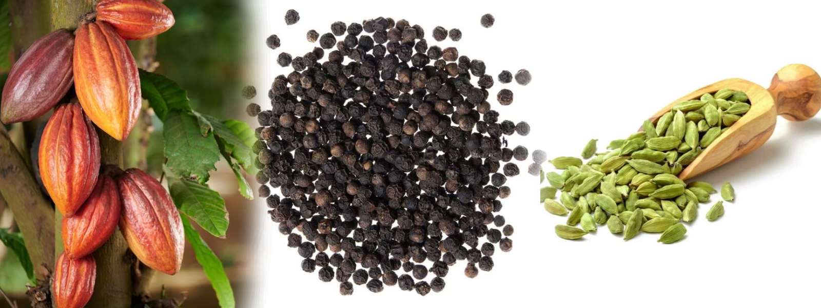 செய்கையாளர்களுக்கு நிவாரணம்